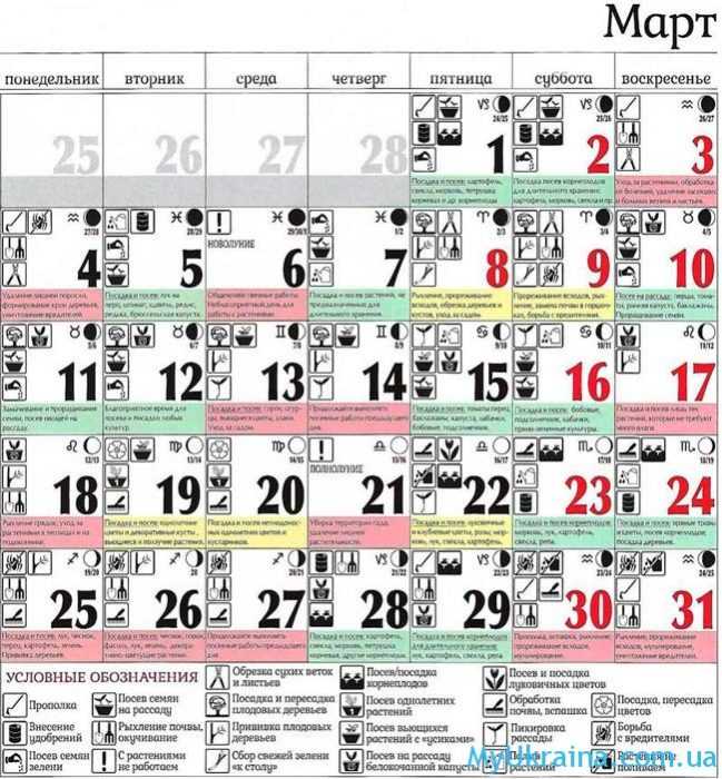 Смотреть Лунный календарь стрижек на март 2019 года видео Смотреть Лунный календарь стрижек на март 2019 года видео