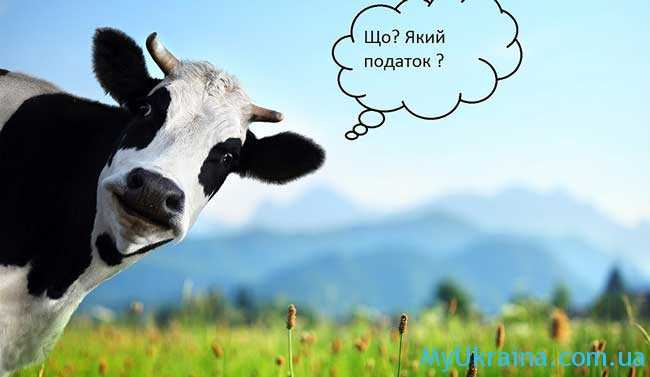 Каких изменений ожидать