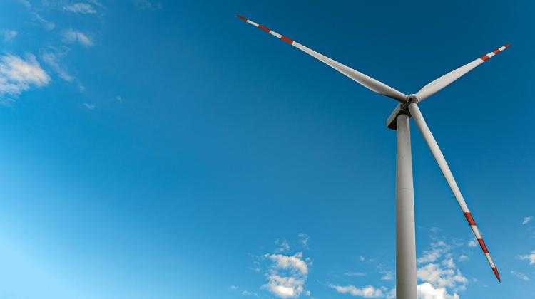 фото. Adobe Stock