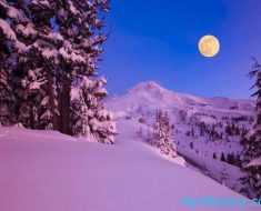 луна освещает снежок