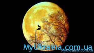 Благоприятные дни в лунном календаре на июнь 2021 года в Украине