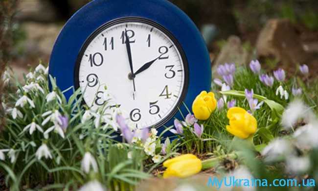 часы и цветы