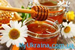 Где купить пчелопакеты в Украине в 2018 году?