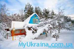 Посевной календарь на декабрь 2021 года в Украине