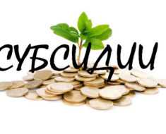 Как оформить субсидию в Украине