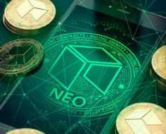 NEO (Neo) в 2019 году