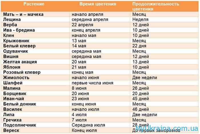 Календарь цветения медоносов Украины