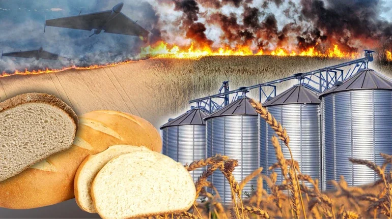 Палаюче пшеничне поле та елеватори через удари РФ загрожують дефіцитом хліба