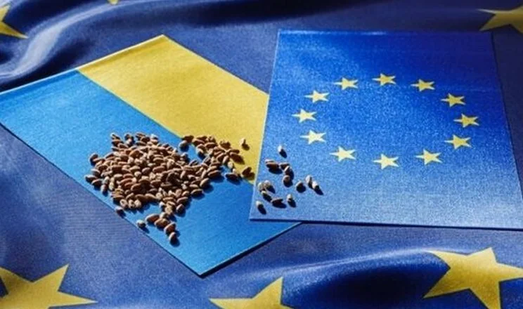 Флаги Украины и ЕС с зерном для программы Билет в ЕС аграриям